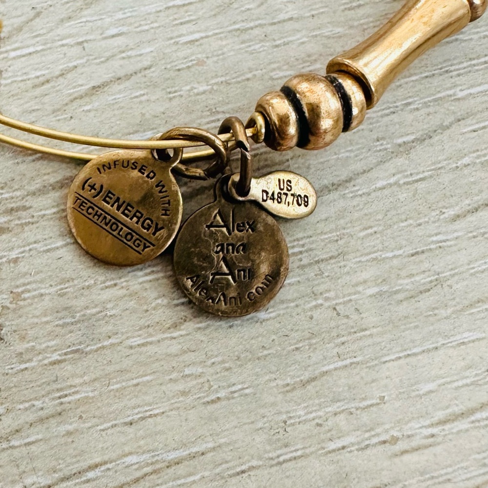 Alex and Ani Gold Tone Bracelet - Picture 3 of 3